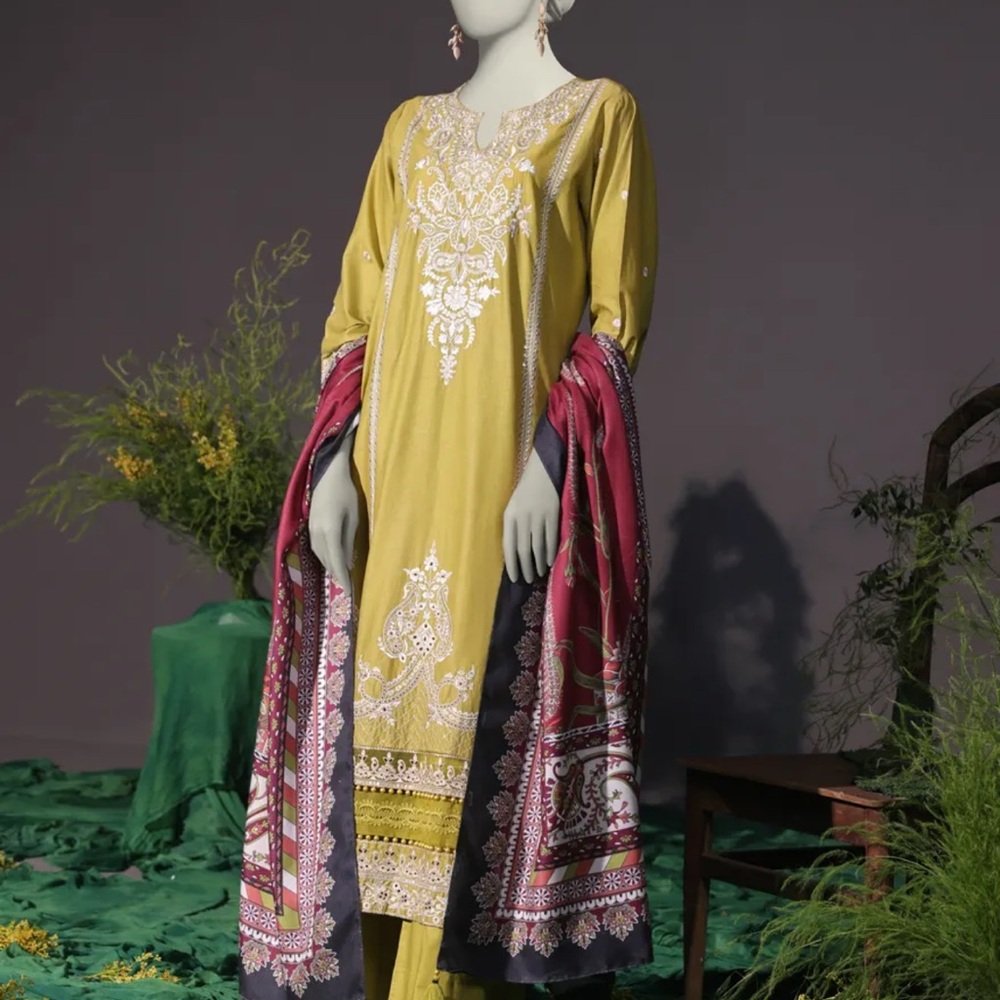 Pakistani Indian dress